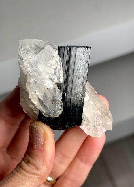 Black Tourmaline with Quartz