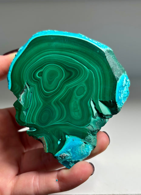 Top ! Blue Chrysocolla with Green Malachite Stalactite