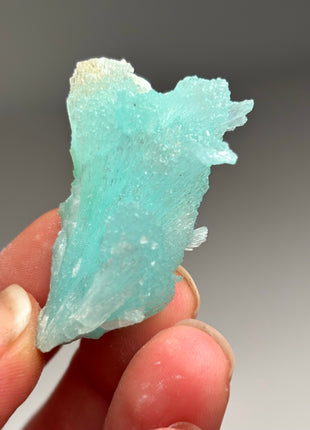 Vibrant Blue Aragonite