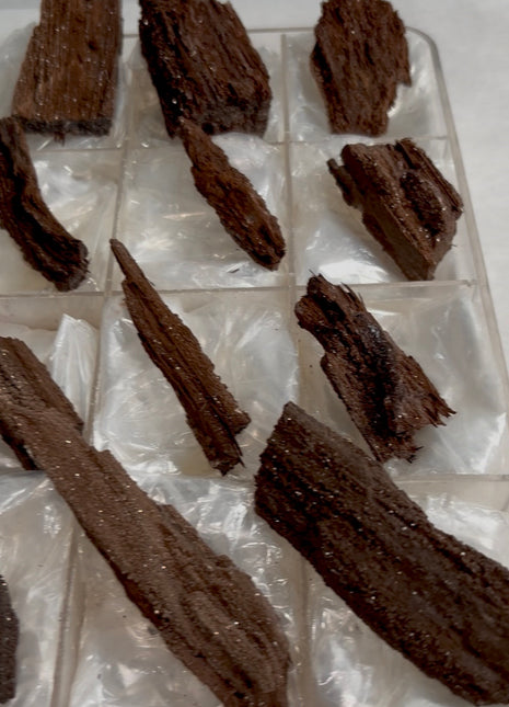 12 Pieces ! Permineralized Fossil Wood Fairy Wood Lot