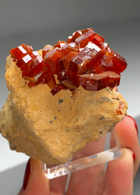 Red Vanadinite on Matrix - Collection # 021