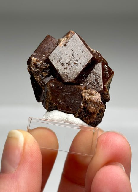 Chocolate Andradite Garnet