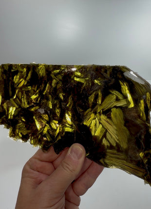 Green Actinolite in Quartz PM1683