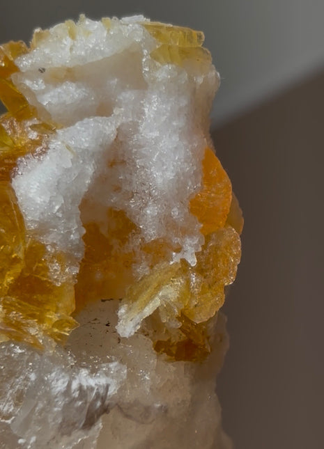 Golden Honey Selenite with Halite from Peru 💎 PM0406
