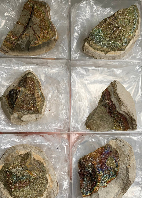 Rainbow Chalcopyrite Lot - 6 Pieces 🌈