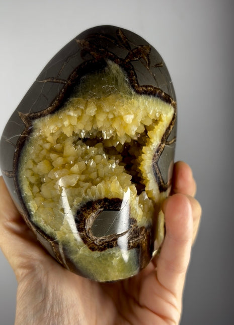 Septarian Geode from Utah