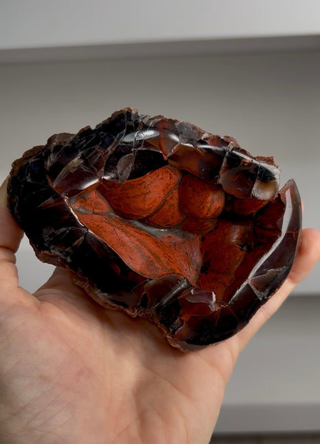 Red Fox Agate Geode from Argentina