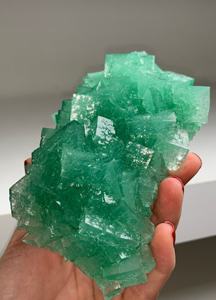 Wow ! Gemmy Green Halite - From Lubin mine, Poland DWS