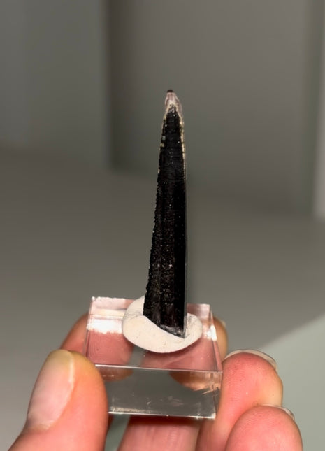 Glittery Hematite Lithium Quartz