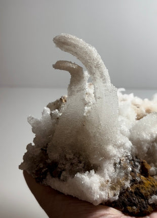 Magical ! Rams Horn Selenite on Matrix