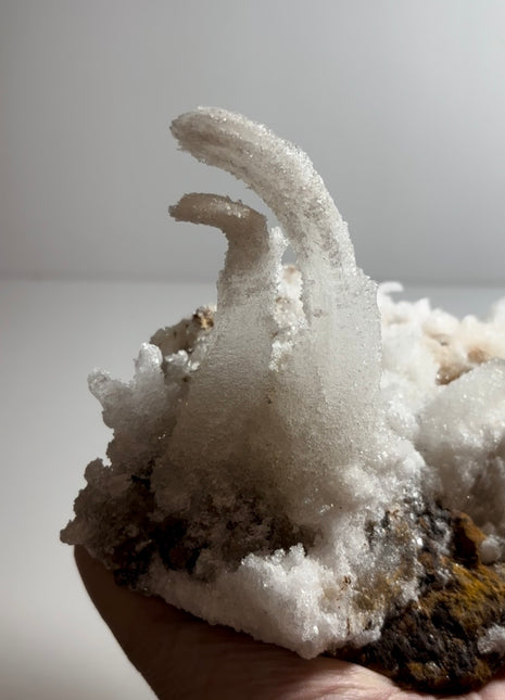 Magical ! Rams Horn Selenite on Matrix