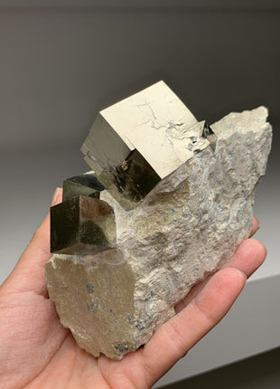 New ! Cubic Pyrite on Matrix from Navajun, Spain