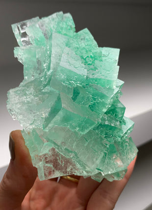 Cubic Green Halite with Atacamite inclusions - From Lubin mine, Poland