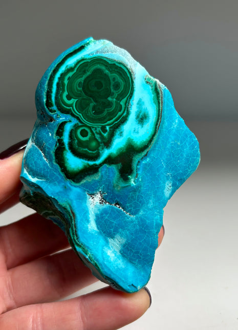 Top ! Blue Chrysocolla with Green Malachite Stalactite