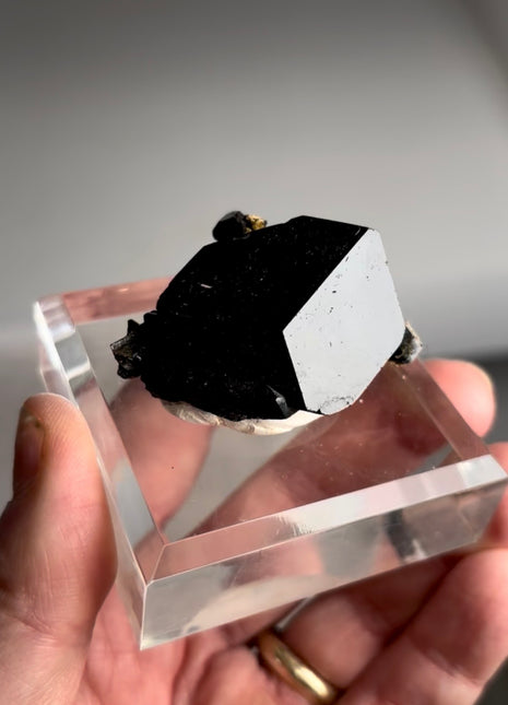 Black Tourmaline - From Erongo, Namibia