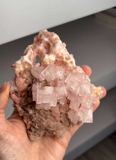 Pink Halite with Trona