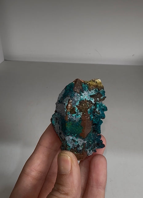 New ! Blue Chrysocolla with Quartz