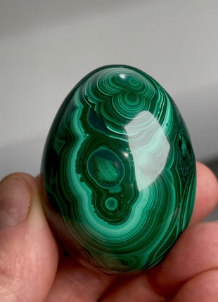 Green Malachite Egg from Congo PM1160