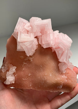 Pink Halite with Great Crystallization - from Searles Lake, California