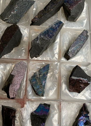 Rare ! Bornite Specimens Lot 🌈 - 12 Pieces