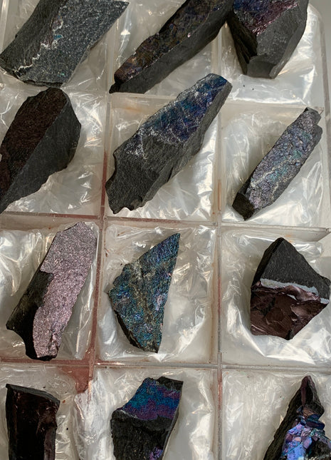 Rare ! Bornite Specimens Lot 🌈 - 12 Pieces