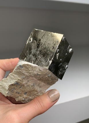 New ! Cubic Pyrite on Matrix from Navajun, Spain