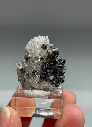 Rare Black Herkimer from New York