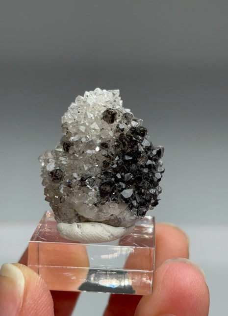 Rare Black Herkimer from New York