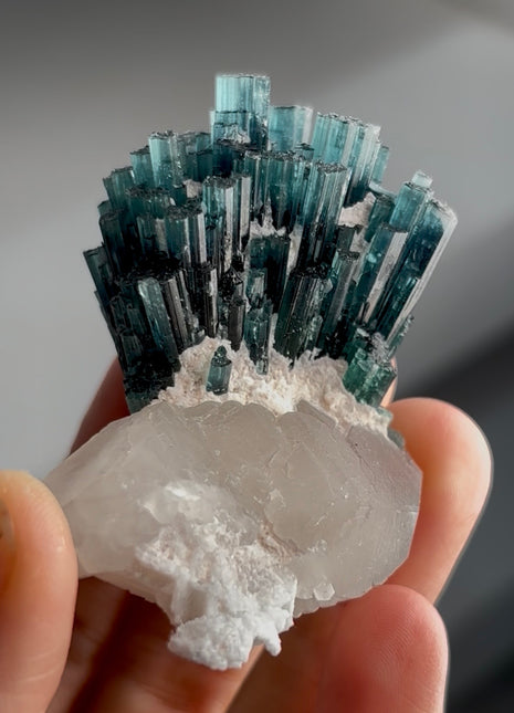 Finest ! Blue Tourmaline Bunch with DT Quartz PM1346