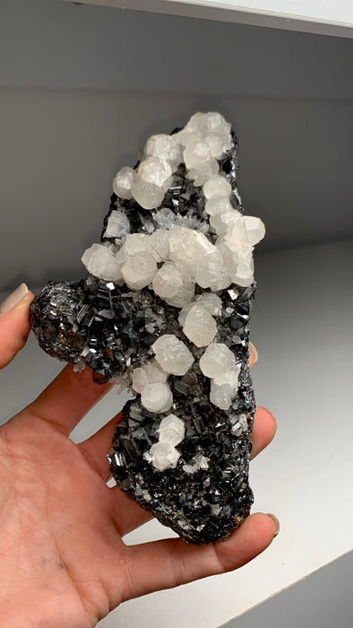 Finest ! Sphalerite with Calcite - From Trepca mine