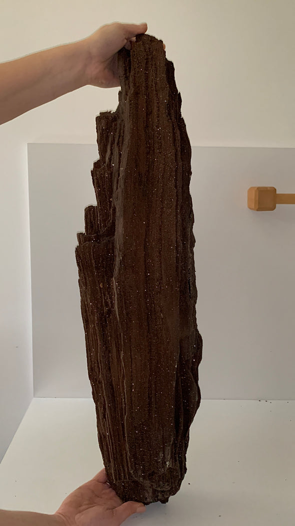 Our Finest ! Permineralized Fossil Wood with Quartz - 12.3 kgs !! From Germany 🔥🔥🔥