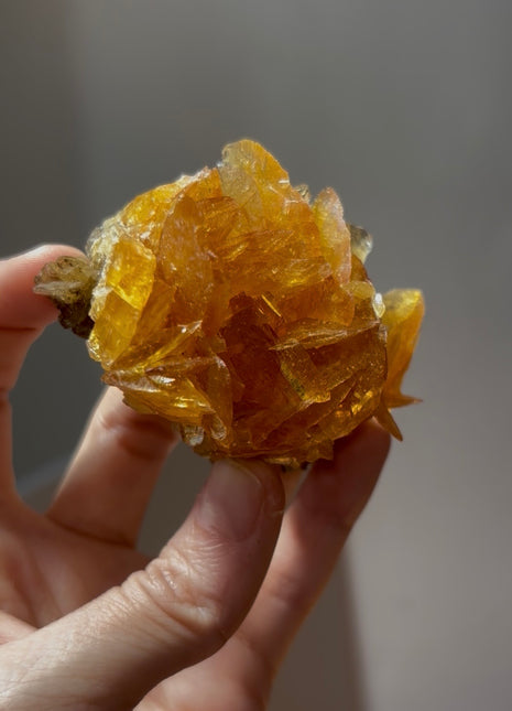 Golden Honey Selenite Rose from Peru 💎 PM0404