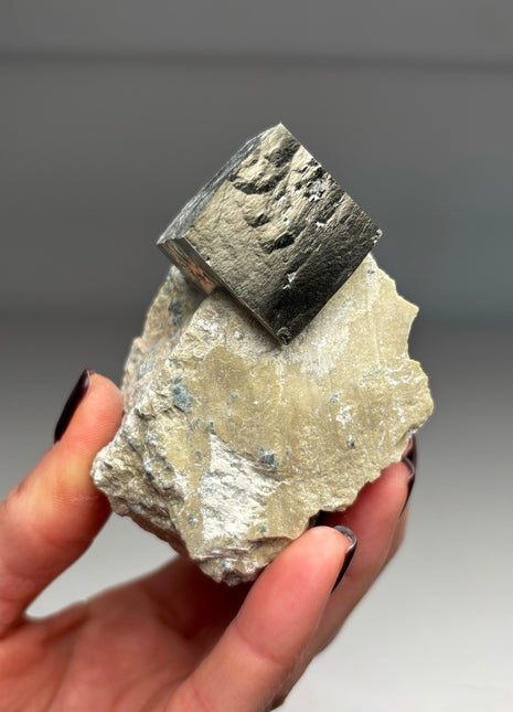 Cubic Pyrite on Matrix from Navajun, Spain