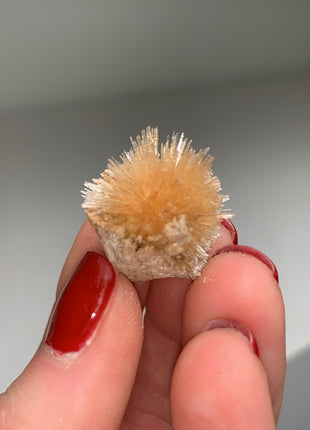 New Arrival ! Bursting Sun Aragonite Ball - From Pantoja, Spain