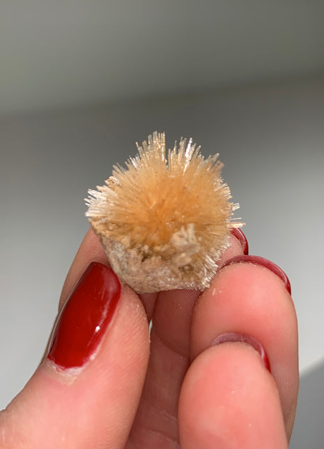 New Arrival ! Bursting Sun Aragonite Ball - From Pantoja, Spain