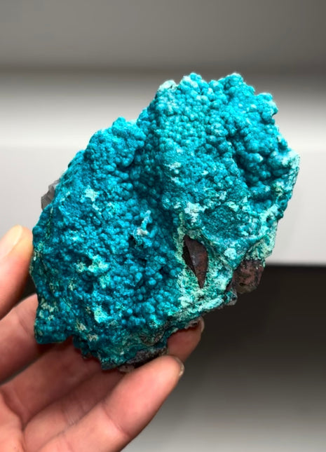 Rich Blue Chrysocolla on Quartz