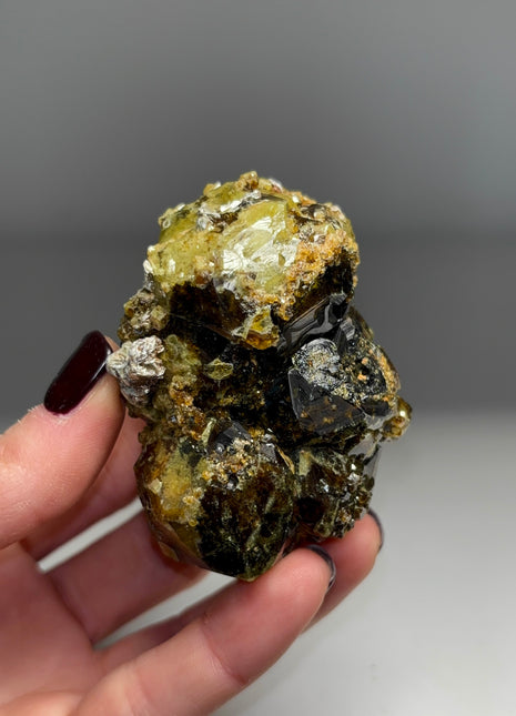 Rare ! Bicolor Andradite Garnet Specimen