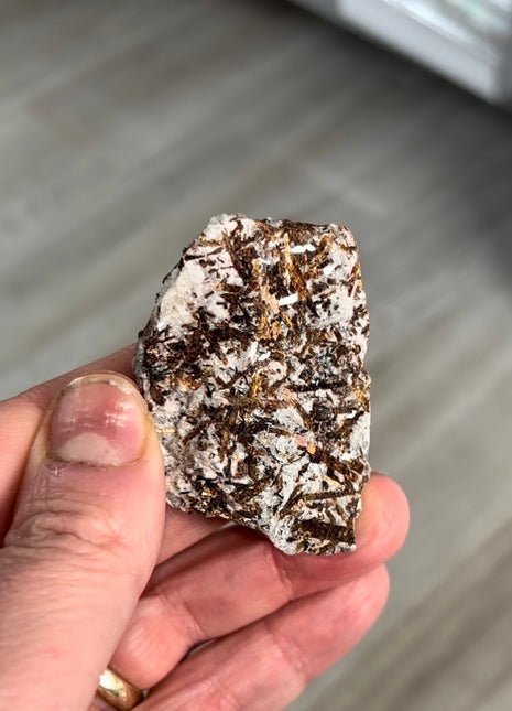 Astrophyllite Specimen from Khibniy Massif, Russia