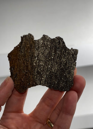 Rare ! Pyritized Petrified Wood