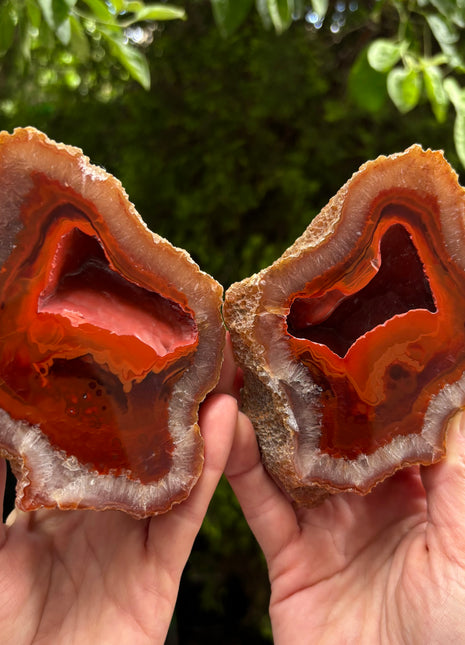 Amazing ! Black Sea Agate Geode Pair