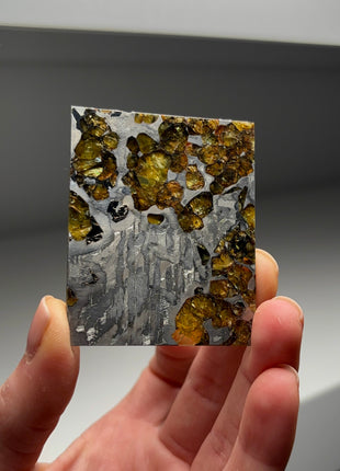 Stunning ! Seymchan Meteorite Pallasite