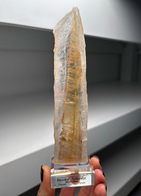 Icy Golden Selenite from Spain