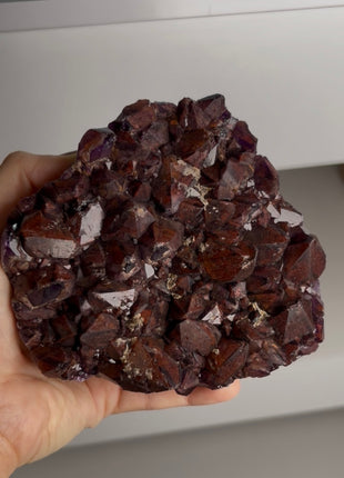 Alien Amethyst ❤️💜