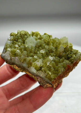 Rare ! Druzy Green Epidote with Quartz
