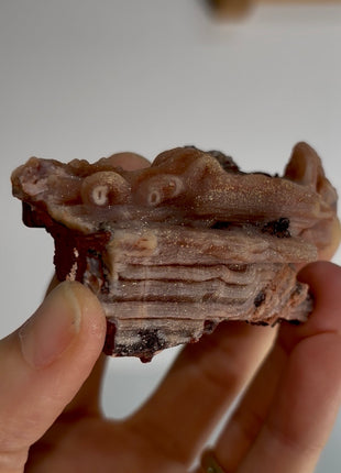 Unusual ! Amethyst after Chalcedony Specimen PM1323