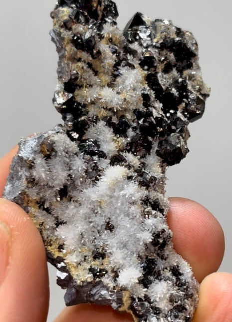 Rainbow Sphalerite with Quartz Flowers PM1231