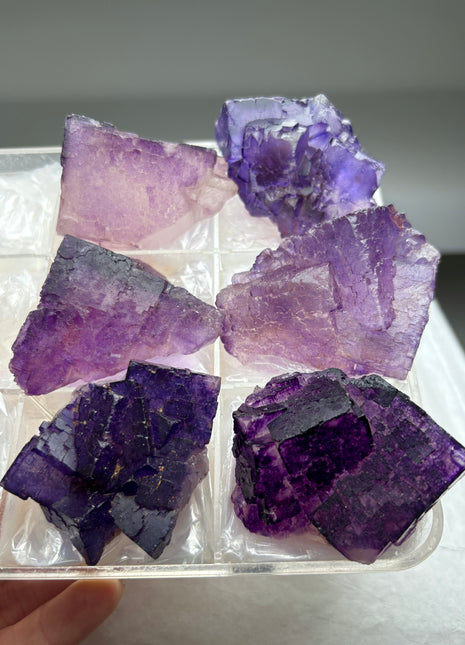 6 Pieces ! Purple Fluorite Lot from Muzquiz, Mexico