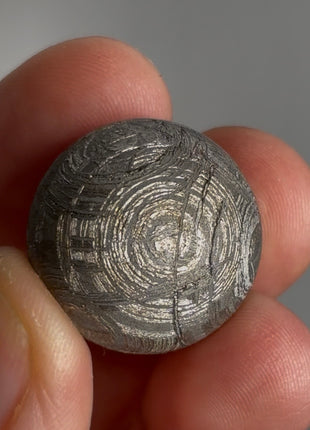 Muonionalusta Meteorite Sphere PM0468