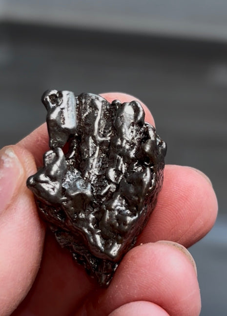 Campo del Cielo Meteorite