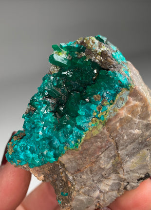 Lustrous Green Dioptase - Reneville, Congo